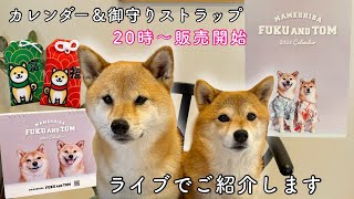 生配信🐶🐶ふくとむカレンダー販売開始します🎊✨ [upl. by Norrag]