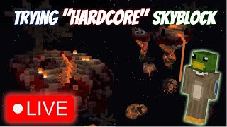 Live Playing quothardcorequot skyblock [upl. by Dryfoos]