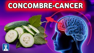 Ne mangez jamais de concombre avec ceci 🥒 car cela peut causer le cancer et la démence [upl. by Nylidnarb133]