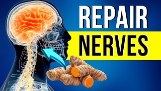 Healing Miracles 10 Foods That Repair Nerve Damage [upl. by Adlar]