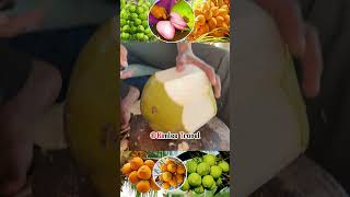 Great Golden coconut cutting skill shorts coconut sound video viralvideo life health [upl. by Lissner]