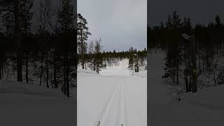 Saariselkä laskettelu murtomaasuksilla [upl. by Heymann277]