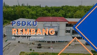 Profil Program Studi Administrasi Publik S1 PSDKU Rembang [upl. by Nyla408]