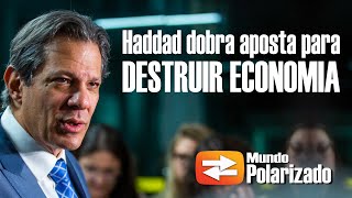 Haddad dobra a aposta para DESTRUIR ECONOMIA do Brasil [upl. by Legnalos544]