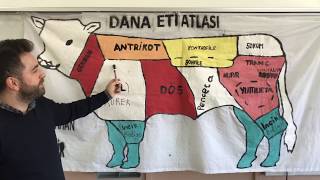 Dana Etinin Bölümleri  Dananın Hangi Bölümünden Hangi Yemek Yapılır [upl. by Howlond393]