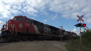 HIGHBALL CN Manifest FLYS Past the small Town of Ste Anne MB [upl. by Ahsinit]