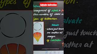 Valvate Astivation  Morphology of Flowering Plants  Simran Maam neet2025 biologyshorts yt [upl. by Dur]