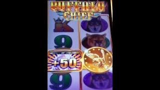 Buffalo Chief Jackpot ALERT [upl. by Atteragram]