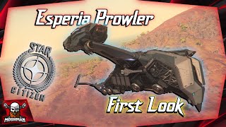 Star Citizen  Esperia Prowler My First Look  Ship Tour amp Flight  Star Citizen 2020 [upl. by Mccarty]