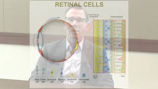 Positive Results from Randomized Controlled Trials of MCO10 Gene Therapy for RP amp Stargardt [upl. by Allie]