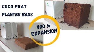 400 expansion  just absorbing water  Coco peat Planter bags [upl. by Barb686]