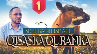 QISASKA QURANKA 📜 XALAQADII 1AAD ┇ SICII BANII ISRAAIIL 🐂 ᴴᴰ┇ ShAbubakar Xoosh [upl. by Epolenep59]