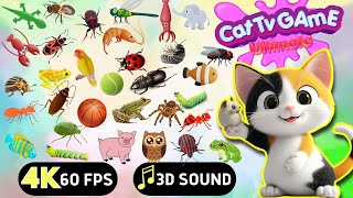 CAT GAMES  Ultimate Cat TV Compilation SPECIAL VOLUME 57  8 HOURS  NO ADS 🐝🐞🦋🦎🦜🐜🐭🧵 [upl. by Daune]