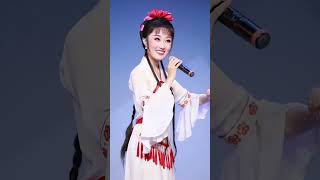 黄梅戏 《女驸马》 选段（谁料皇榜中状元） 黄梅戏 Relax Music Chinese Folk Opea  Huangmei Opera [upl. by Fira47]