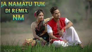 Ja Namatu Tuk Dj Remix Nitish Music Maya Siri Riri Assamese New DJ Song 2024 [upl. by Bannasch556]