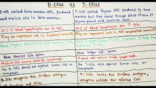 B  Cells Vs T  Cells an easy way to learn in Hindi and Urdu [upl. by Ettolrahc]