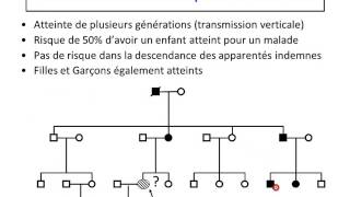 Hérédité autosomique dominante partie 1 [upl. by Atsocal]