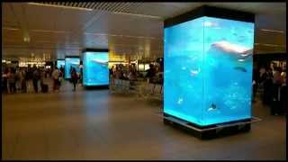 Digital Columns at Fiumicino Airports [upl. by Jelena]