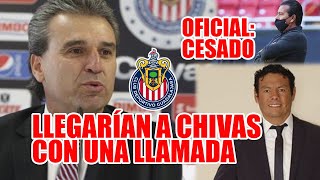 NESTOR DE LA TORRE VOLVERÍA A CHIVAS CESAN A DT TAPATIO [upl. by Ruel]