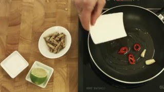 KOCHEN MIT SNACKINSECTS FRITTIERTE HEUSCHRECKEN  ESSBARE INSEKTEN KOCHEN [upl. by Phillada]