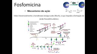 Agentes antimicrobianos usados para Infecções do Trato Urinário ITU [upl. by Cawley]