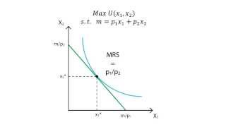 A6 Utility maximisation  Consumption  Microeconomics [upl. by Shult]