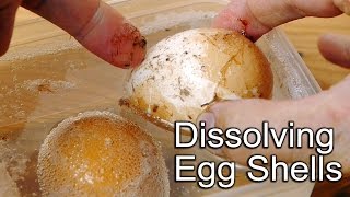 Egg Shell Science Experiment  Dissolves in Vinegar [upl. by Jeraldine]