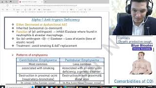 asthma ampCOPD part2 [upl. by Eseila]