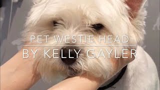 Pet Westie Head Grooming Tutorial [upl. by Orgell]