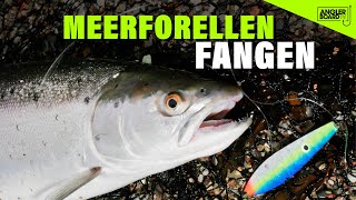 Meerforellen angeln an der Ostsee  Watangeln auf Meerforelle  Fischen auf Mefo  Anglerboard TV [upl. by Yulma]