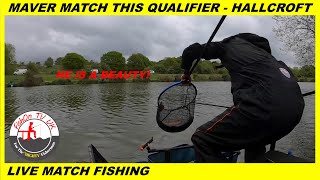 Maver Match This Qualifier  Hallcroft Fisheries  Live Match Fishing [upl. by Hsina]