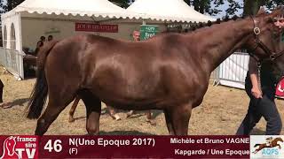 Decize 2017  lot 46 NUne Epoque 2017 [upl. by Anhaj]