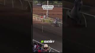 Que monta 😨 caballos horse race [upl. by Silera]