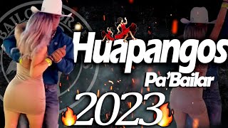 LOS MEJORES HUAPANGOS🔥🌪 Del 2023 [upl. by Eneleahcim]