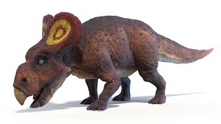 Protoceratops Dinosaur [upl. by Eiramanin352]