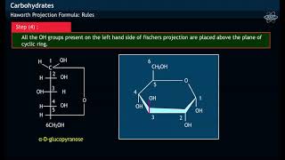 WHAT IS PYRANOSE STRUCTURE amp HAWORTH PROJECTION FORMULA OF GLUCOSE [upl. by Nerac]