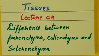 Class 9th Biology Tissues Lecture 04 Difference between parenchyma collenchyma and sclerenchyma [upl. by Giffy879]