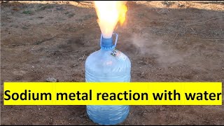 Sodium metal reaction with water [upl. by Eugenle921]