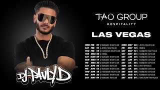 DJ Pauly D Las Vegas Residency 2024  Tao Group Hospitality [upl. by Weisberg908]