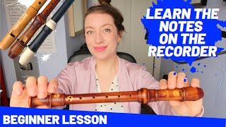 Beginner Recorder Lesson learning the notes  Team Recorder [upl. by Aerol]