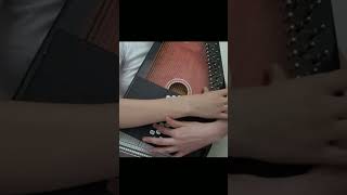 Angèle  Ta reine Autoharp cover [upl. by Nryhtak]