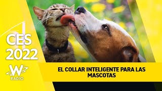 CES2022 El collar inteligente para las mascotas [upl. by Aehta]