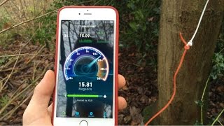 How to Get Free Superfast Internet from a Tree [upl. by Eenahc]