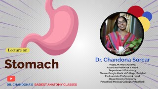 Lecture on Stomach [upl. by Naejarual392]