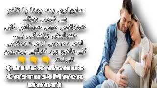 Normens Tablet Vitex Agnus CastusMaca Root Uses and Sideeffect In Urdu MedicineClub [upl. by Dlnaod543]