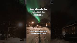 Aurora Borealis 🇳🇴🇨🇦 auroraborealis nordlicht wissenschaft [upl. by Jehiel]