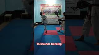 Taekwondo Kick sporttaekwondo taekwondo martialarts sports taekwondotranning ttatkd [upl. by Laband390]