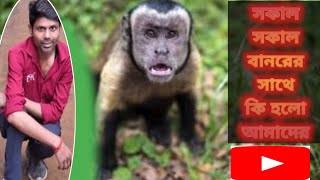 The Day Humanity Changed Forever  The Most Important Day 🐒🐒🐒 humanity animal youtubevideo [upl. by Rhoades]