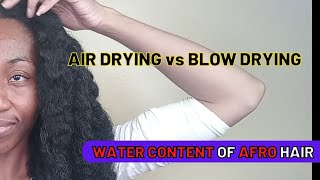 AIR DRYING does NOT DAMAGE Natural Hair  Long 4C Hair Haircare [upl. by Sonia]