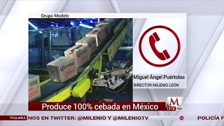 Grupo Modelo produce 100 cebada en México [upl. by Pesvoh996]